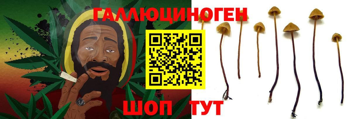 дарнет шоп  Псилоцибиновые грибы прущие грибы  Галлюциногенные грибы прущие грибы  Вход с VPN  Воткинск 